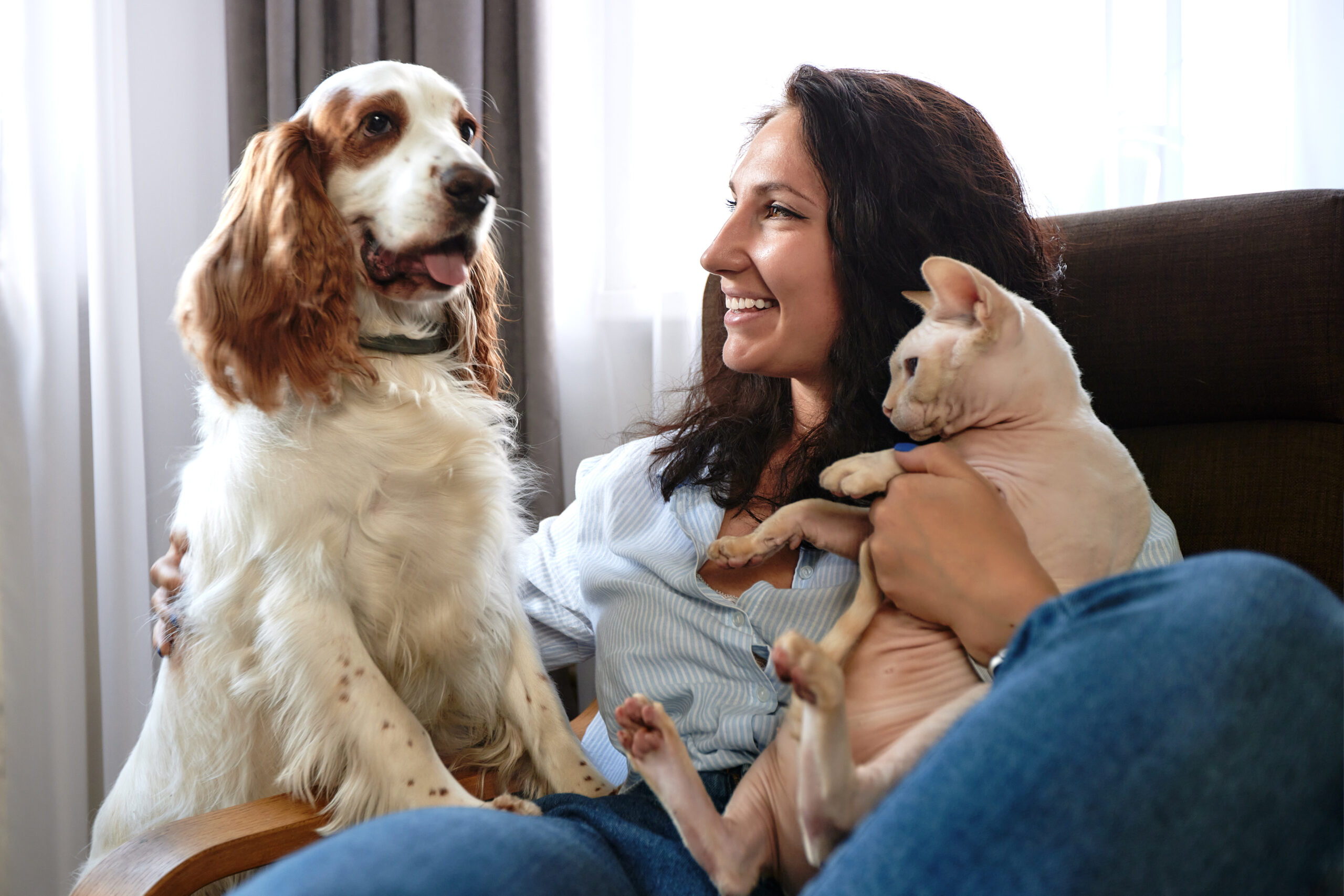 Pet Sitting: Advantages for House Sitters